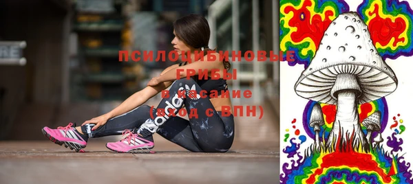 PSILOCYBIN Алексеевка