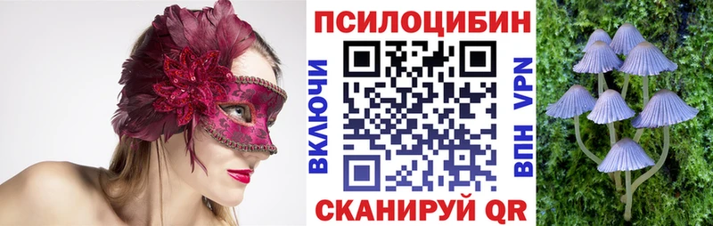 Галлюциногенные грибы ЛСД  продажа наркотиков  Дзержинск 